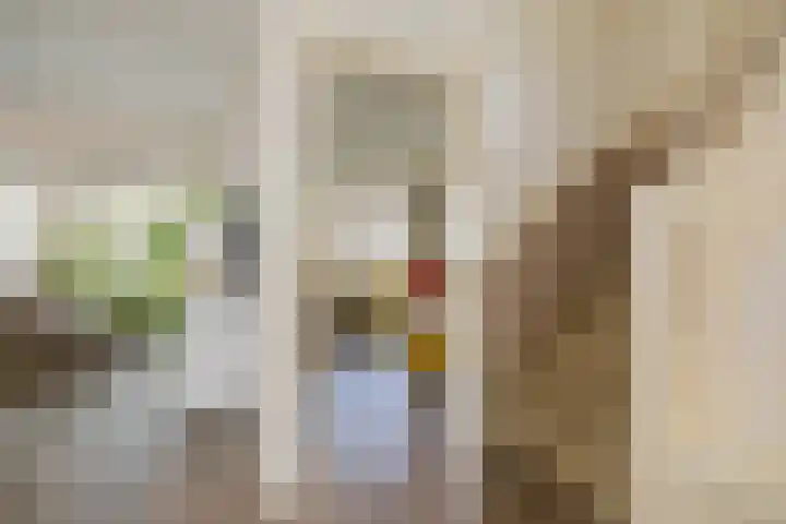 van Speykstraat 1 Lisse thumbnail 25