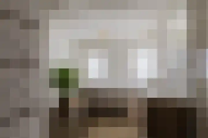 van Speykstraat 1 Lisse thumbnail 36