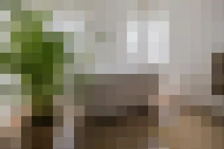 van Speykstraat 1 Lisse thumbnail 5