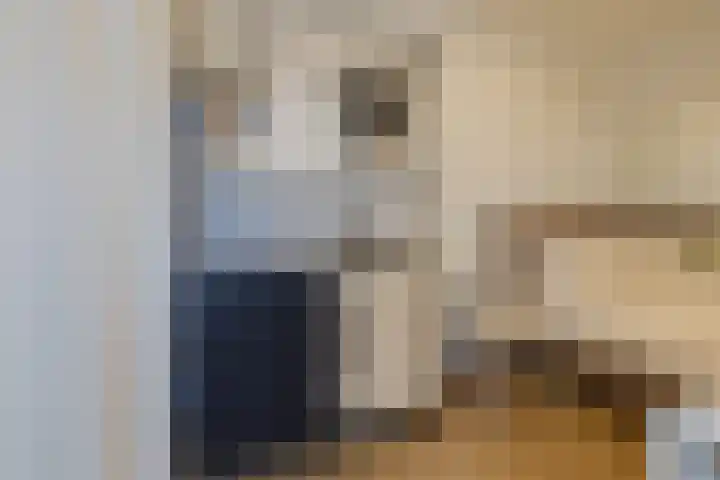 van Speykstraat 1 Lisse thumbnail 52