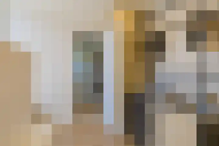 van Speykstraat 1 Lisse thumbnail 54