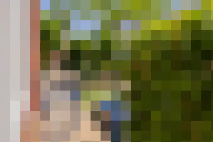 van Speykstraat 1 Lisse thumbnail 58