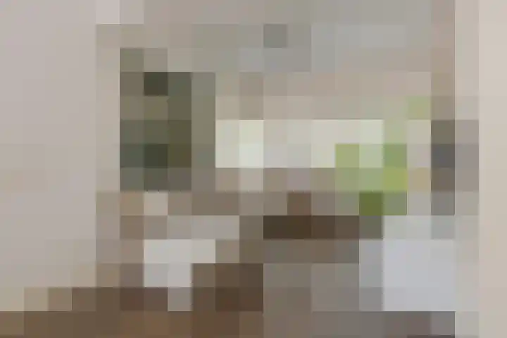 van Speykstraat 1 Lisse thumbnail 9