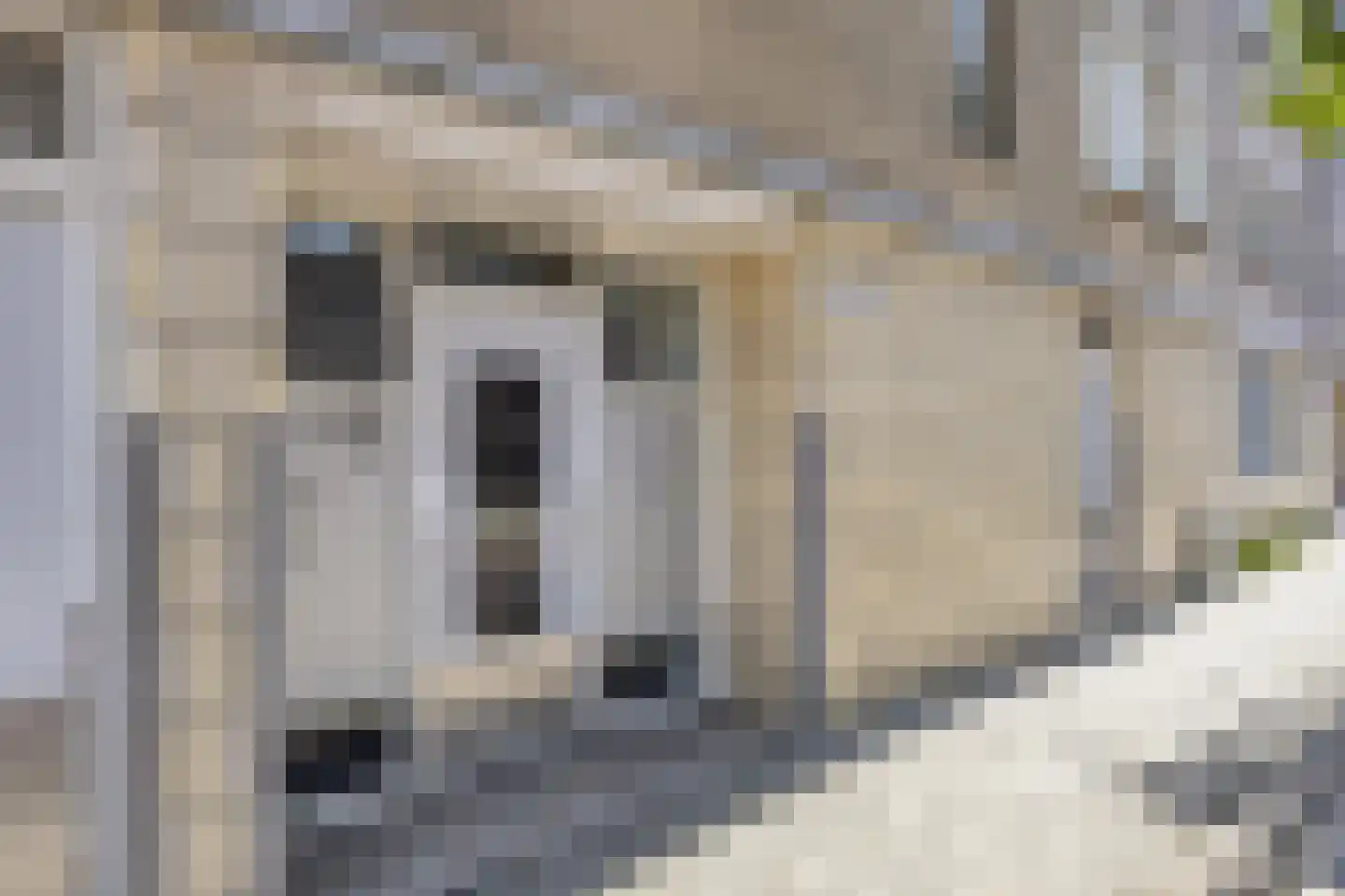 Van Speykstraat 116 Rotterdam thumbnail 21