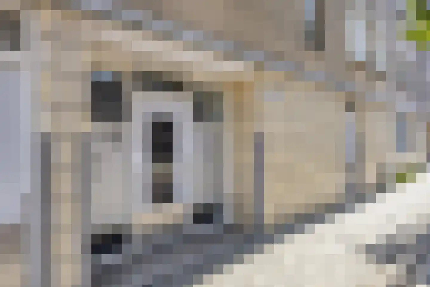 Van Speykstraat 116 Rotterdam thumbnail 21