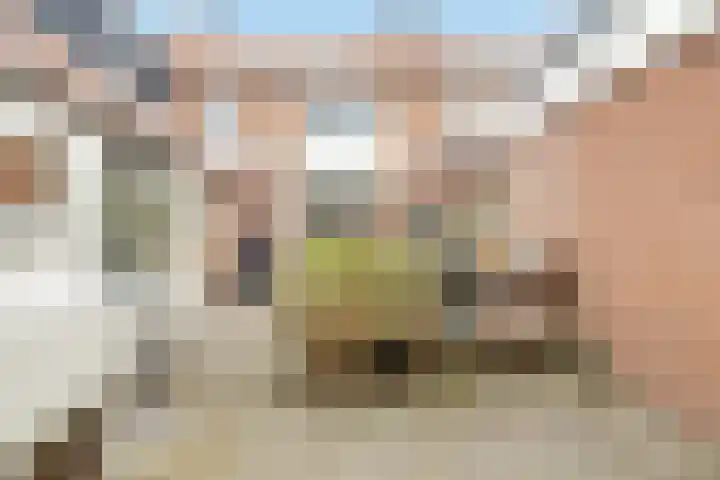 Van Speykstraat 13 Nijkerk thumbnail 24