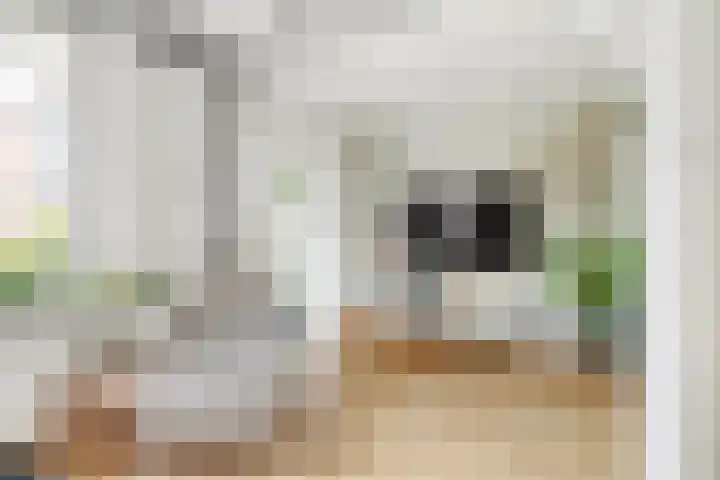 Van Speykstraat 13 Nijkerk thumbnail 9