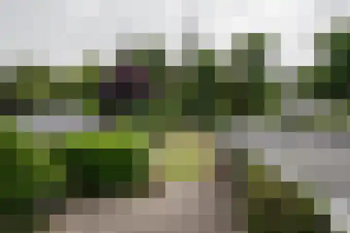 van Speykstraat 14 Nijverdal thumbnail 25