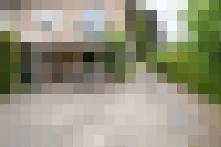 van Speykstraat 14 Nijverdal thumbnail 32