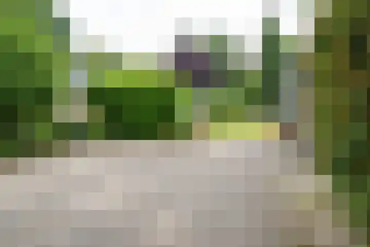 van Speykstraat 14 Nijverdal thumbnail 33