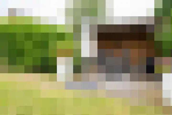 van Speykstraat 14 Nijverdal thumbnail 34