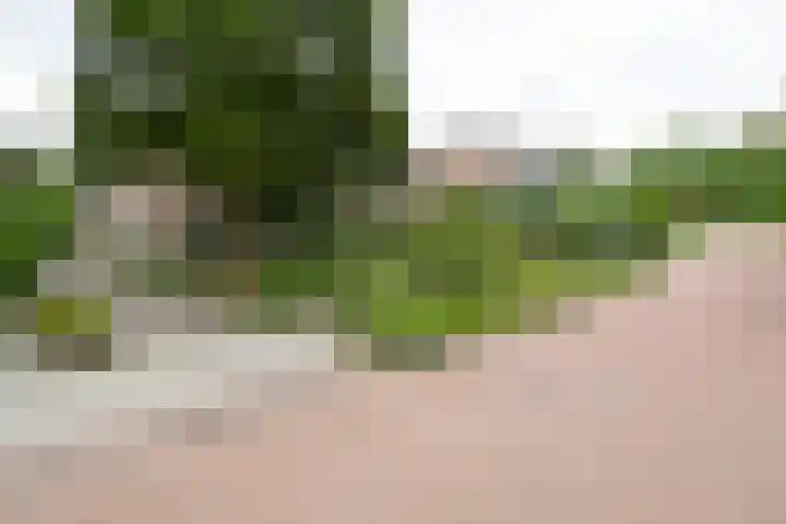 van Speykstraat 14 Nijverdal thumbnail 37