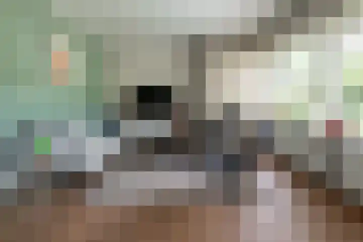 van Speykstraat 14 Nijverdal thumbnail 8
