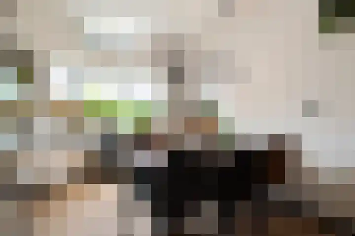 Van Speykstraat 15 Den Helder thumbnail 4
