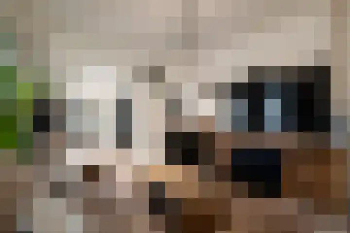 Van Speykstraat 15 Den Helder thumbnail 6