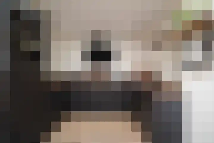 Van Speykstraat 15 Den Helder thumbnail 8