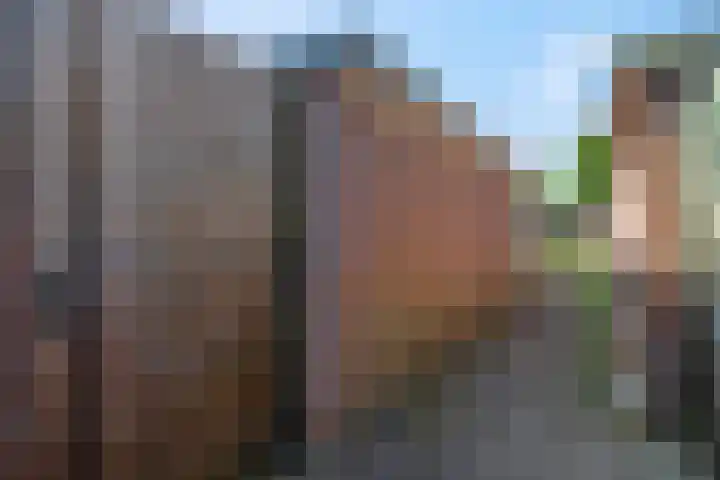 Van Speykstraat 16 Oss thumbnail 24