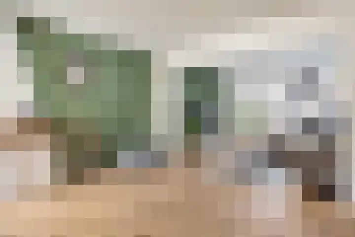 Van Speykstraat 16 Oss thumbnail 4