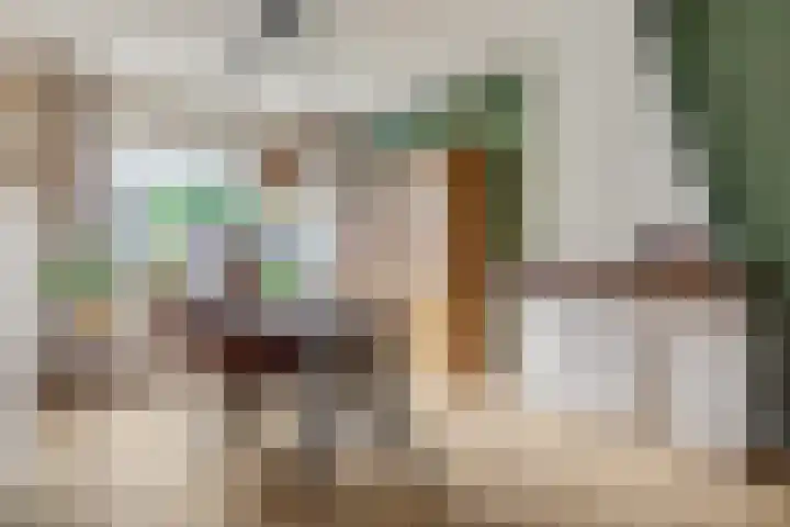 Van Speykstraat 16 Oss thumbnail 6