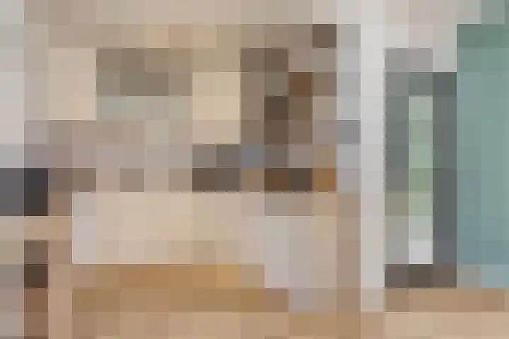 Van Speykstraat 16 Oss thumbnail 7