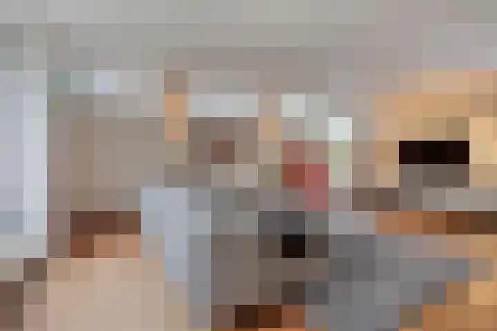 Van Speykstraat 17 Oss thumbnail 12