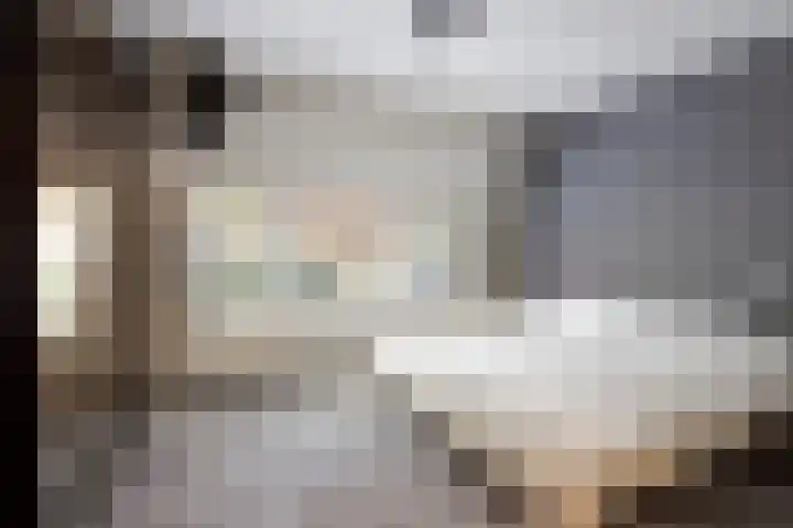Van Speykstraat 17 Oss thumbnail 18