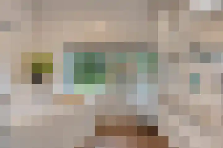Van Speykstraat 17 Oss thumbnail 20