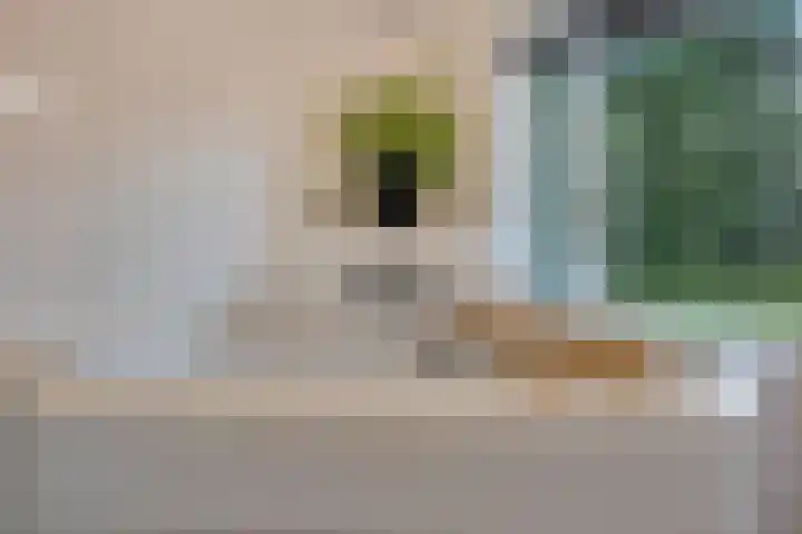 Van Speykstraat 17 Oss thumbnail 22