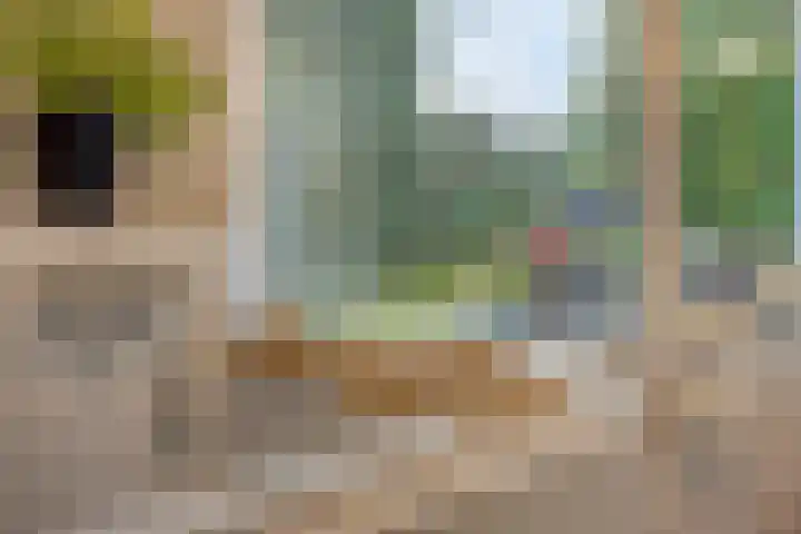 Van Speykstraat 17 Oss thumbnail 23