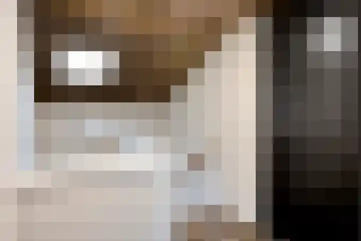 Van Speykstraat 17 Oss thumbnail 24