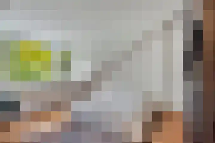 Van Speykstraat 17 Oss thumbnail 25