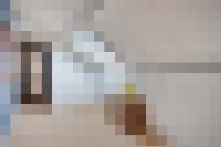 Van Speykstraat 17 Oss thumbnail 26