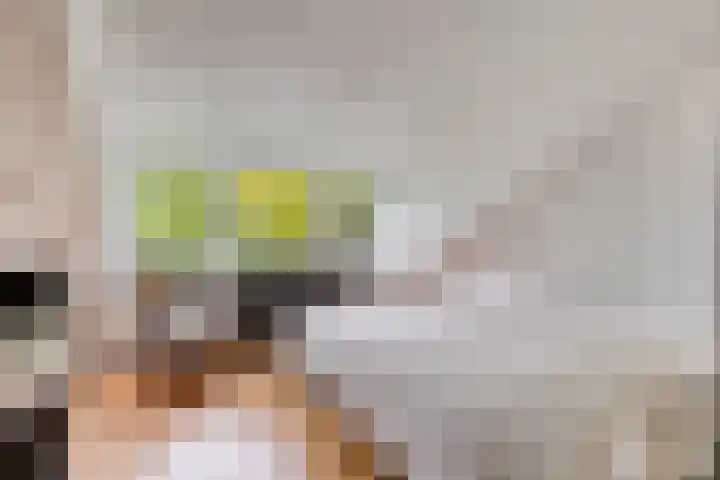 Van Speykstraat 17 Oss thumbnail 28