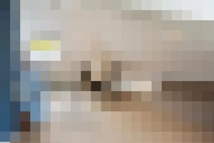 Van Speykstraat 17 Oss thumbnail 29