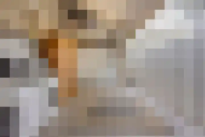 Van Speykstraat 17 Oss thumbnail 31