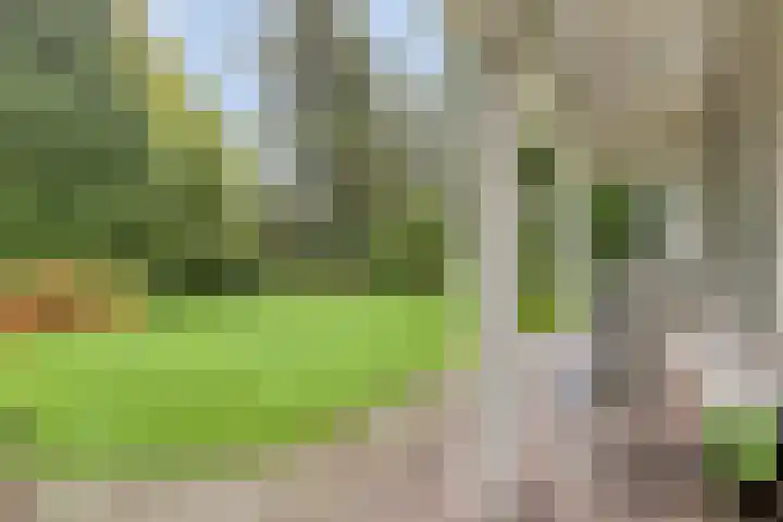 Van Speykstraat 17 Oss thumbnail 33