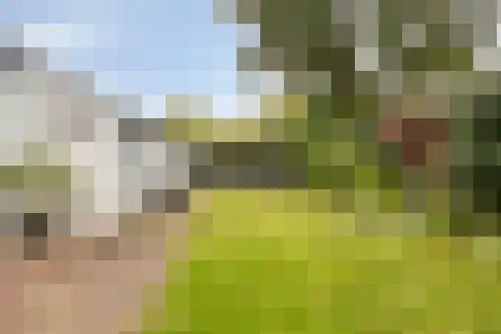 Van Speykstraat 17 Oss thumbnail 35
