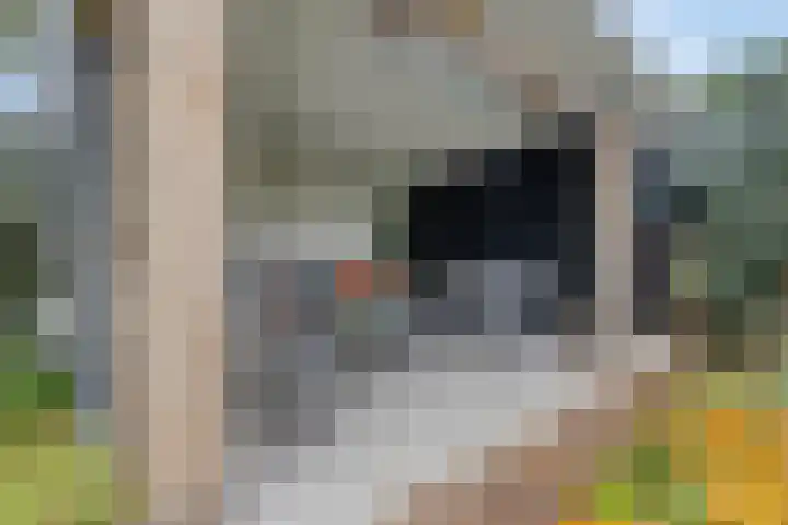 Van Speykstraat 17 Oss thumbnail 37