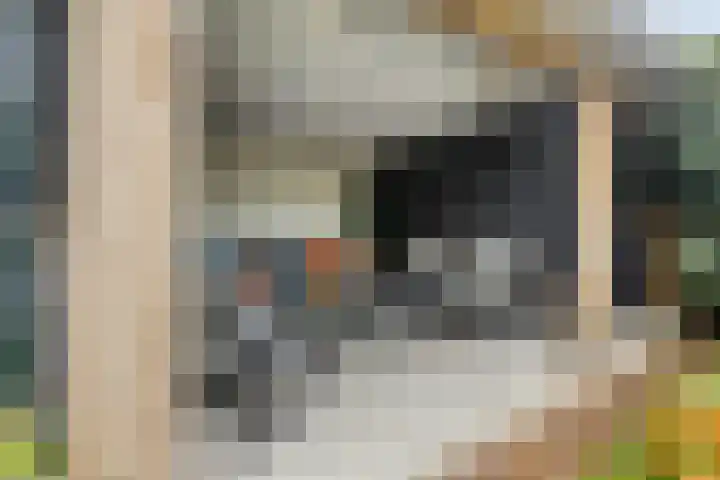 Van Speykstraat 17 Oss thumbnail 38