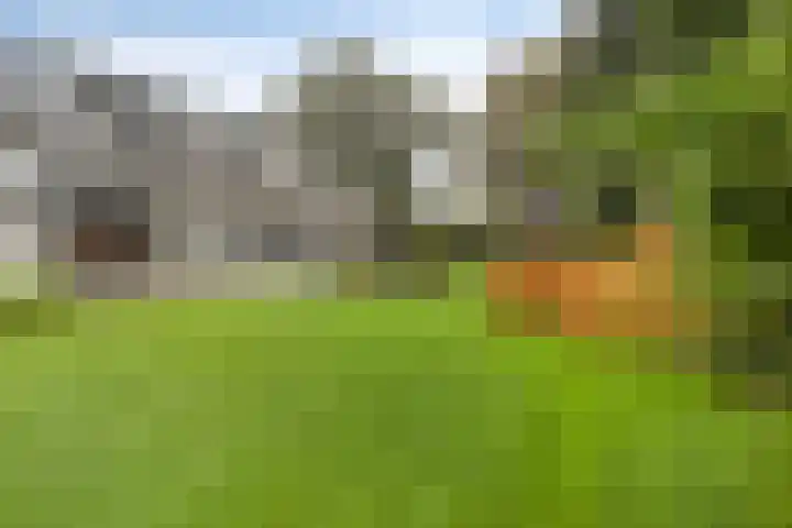 Van Speykstraat 17 Oss thumbnail 40