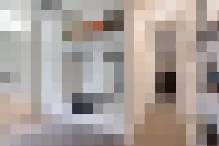 Van Speykstraat 17 Oss thumbnail 7