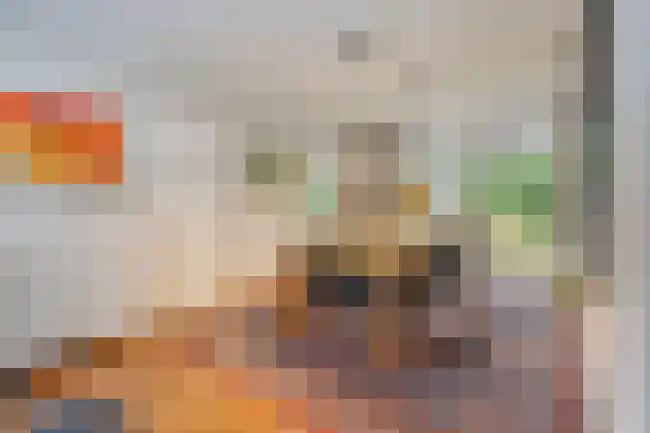 Van Speykstraat 17 Oss thumbnail 9