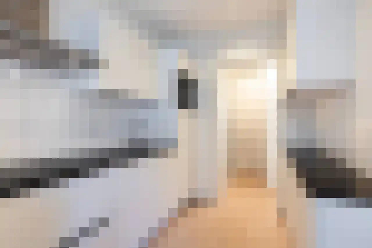 Van Speykstraat 2 B 1 Delft thumbnail 7