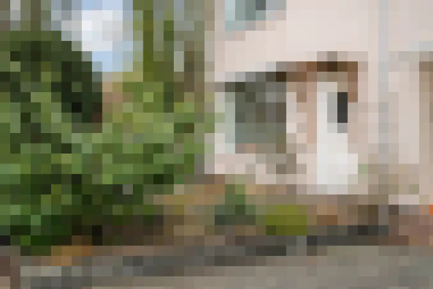 Van Speykstraat 2 Dordrecht thumbnail 37