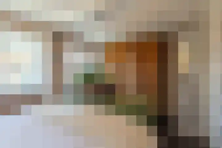 Van Speykstraat 21 Den Helder thumbnail 19