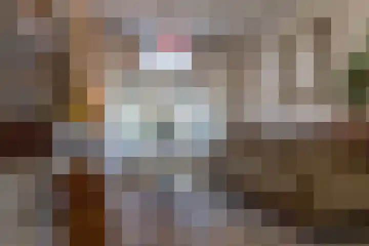 Van Speykstraat 21 Den Helder thumbnail 5