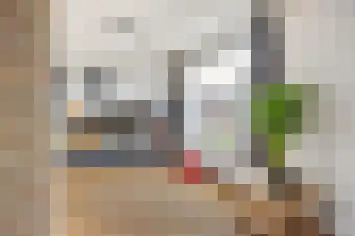 van Speykstraat 21 Dongen thumbnail 14
