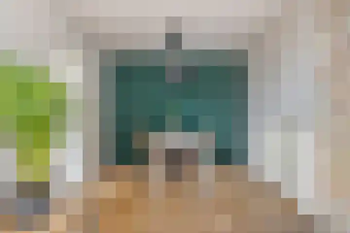 van Speykstraat 21 Dongen thumbnail 15