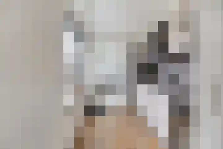 van Speykstraat 21 Dongen thumbnail 16