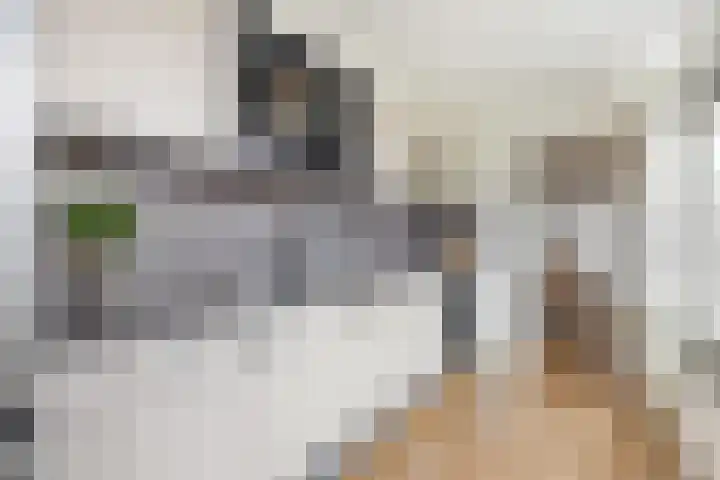 van Speykstraat 21 Dongen thumbnail 17